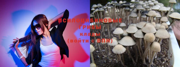стаф Каменногорск