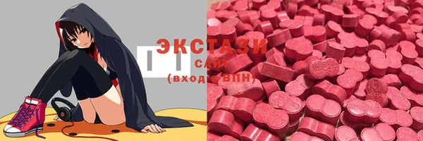 стаф Каменногорск
