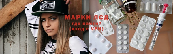 стаф Каменногорск