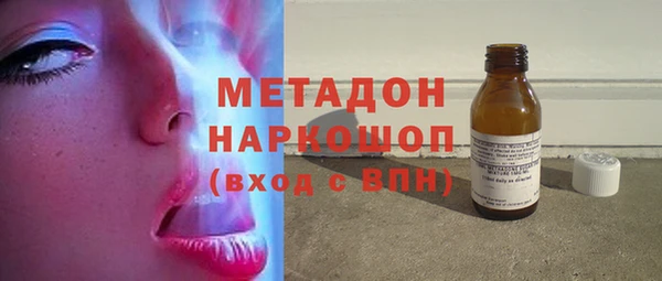 стаф Каменногорск