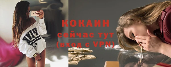 ALPHA-PVP Каменка