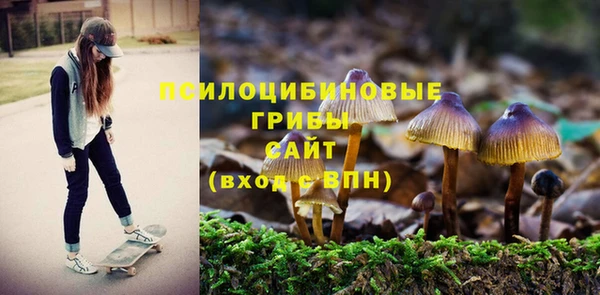 кокаин премиум Каменск-Шахтинский