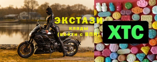 стаф Каменногорск