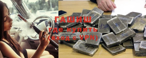 стаф Каменногорск