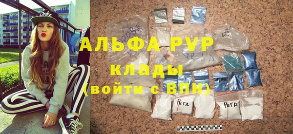 стаф Каменногорск