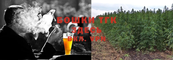 ALPHA-PVP Каменка
